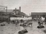 Holborn Union Workhouse Farm and Gas Works  Mitcham