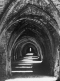 Fountains Abbey