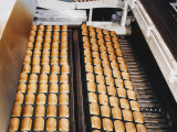 A Spooner Travelling Oven