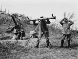 German 37Cm Flag Gun on the Western Front During World War I