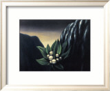 Les Fleurs de l'Abi^me 1  c1928