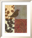Damask Sparrow