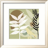 Organic Zen I