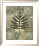 Leaf Textures I