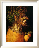 Summer  c1563