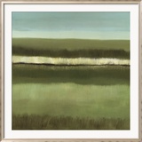 Still Waters