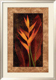 Heliconia