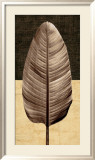 Palm Leaf II