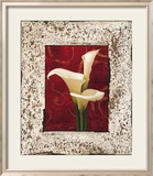 Calla Lilies