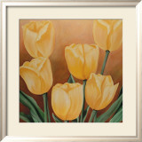 Orange Tulips