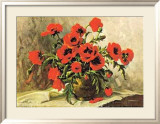Mohnblumen