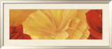Orange Flower