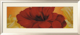 Red Flower