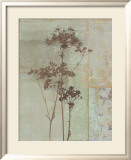 Silver Foliage II