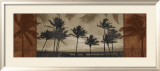Sunlit Palms I