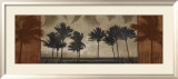 Sunlit Palms II