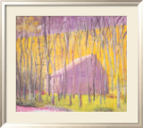 Saltbox Barn  2002