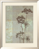Silver Foliage I