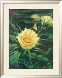 Blooming Cereus with Full Moon