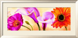 Danse de Fleurs II