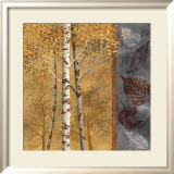 Birch Tree in Autumn II