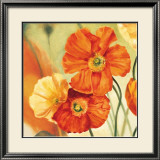 Champs de Coquelicots I