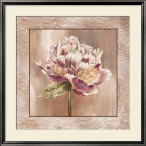Pivoines I