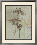 Silver Foliage II