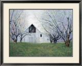 Orchard Blossoms