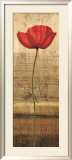 Poppy Panel I