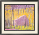Saltbox Barn  2002