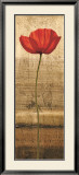 Poppy Panel I