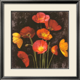 Poppy Bouquet I