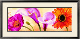 Danse de Fleurs II