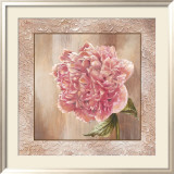 Pivoines II
