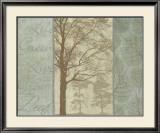Natural Elements II