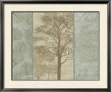 Natural Elements I