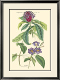 Botanical III
