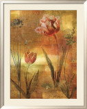 Tulip Garden II