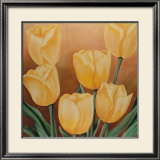 Orange Tulips