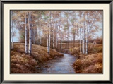 Birch Creek