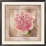 Pivoines II