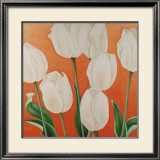 White Tulips