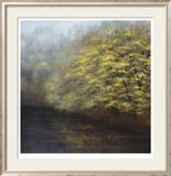 Misty River