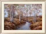 Birch Creek