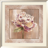 Pivoines I