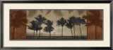 Sunlit Palms II
