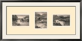 The Elusive Salmon Triptych