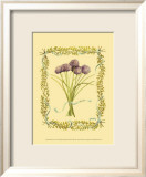 Chives