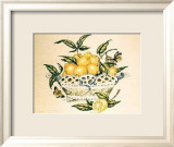 Lemons in a Porcelain Basket